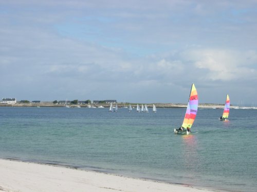 hobie cat