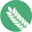 epis